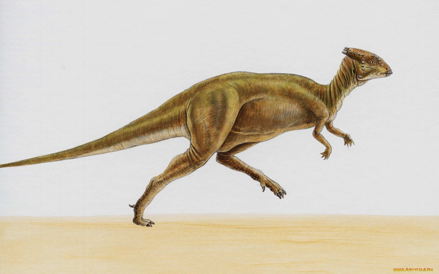 Динозавр с выростом на голове